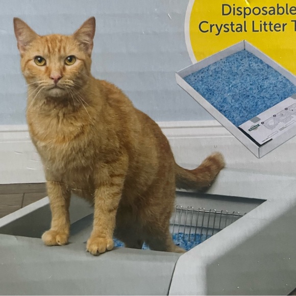 Auto scooping cat litter box.Easy and convenient. Used briefly. works great! - Picture 10 of 10